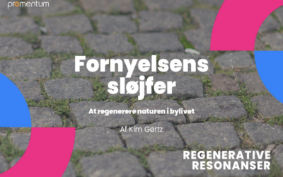 Fornyelsens sløjfer – At regenerere naturen i bylivet